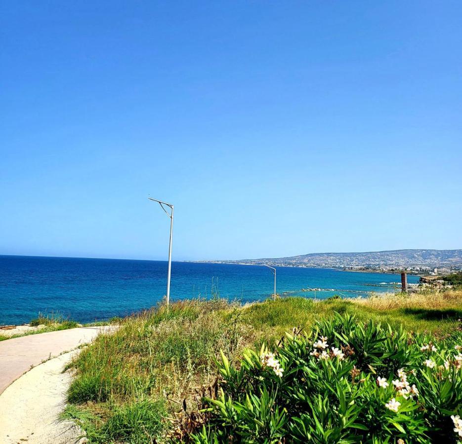 Villa Aphrodite By The Sea 파포스 외부 사진